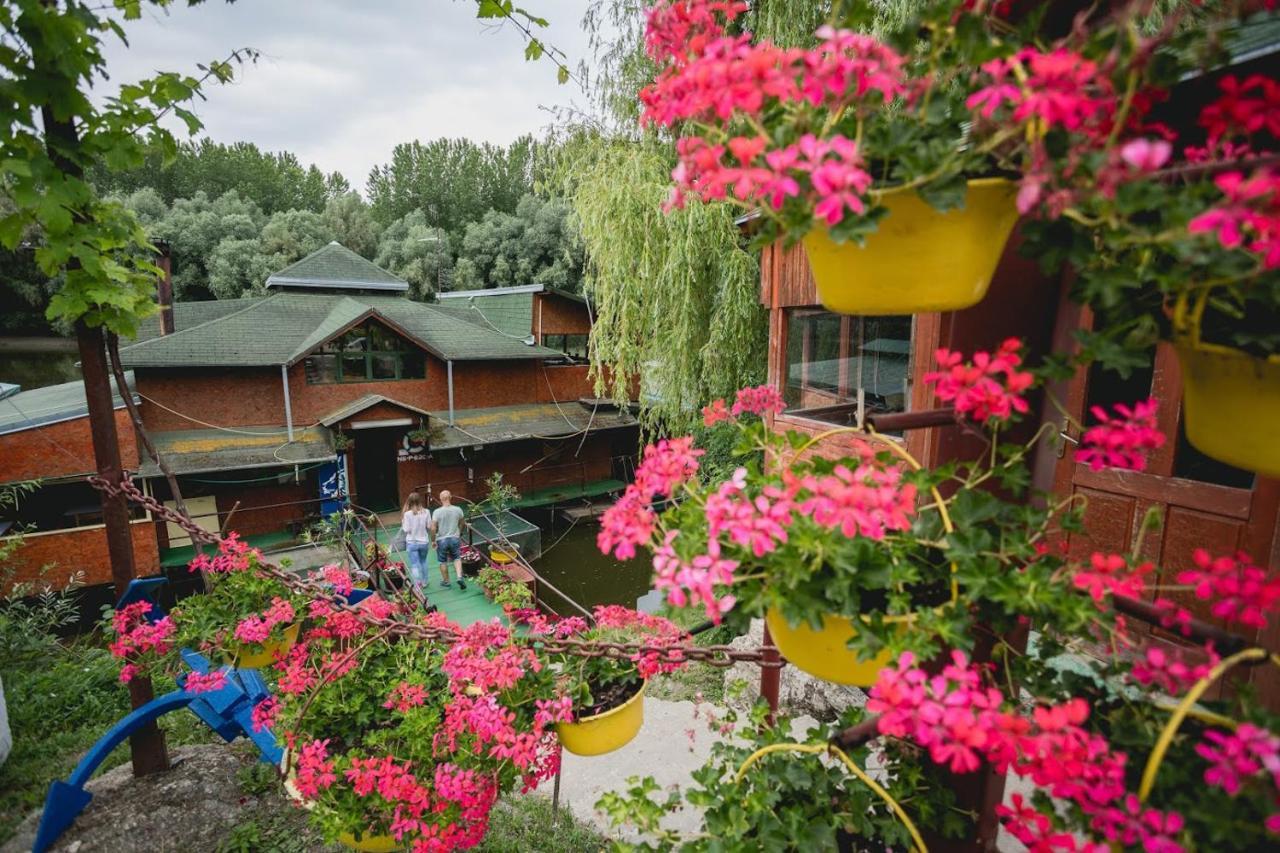 Pool And Villa Splav Dunavac Futog Экстерьер фото