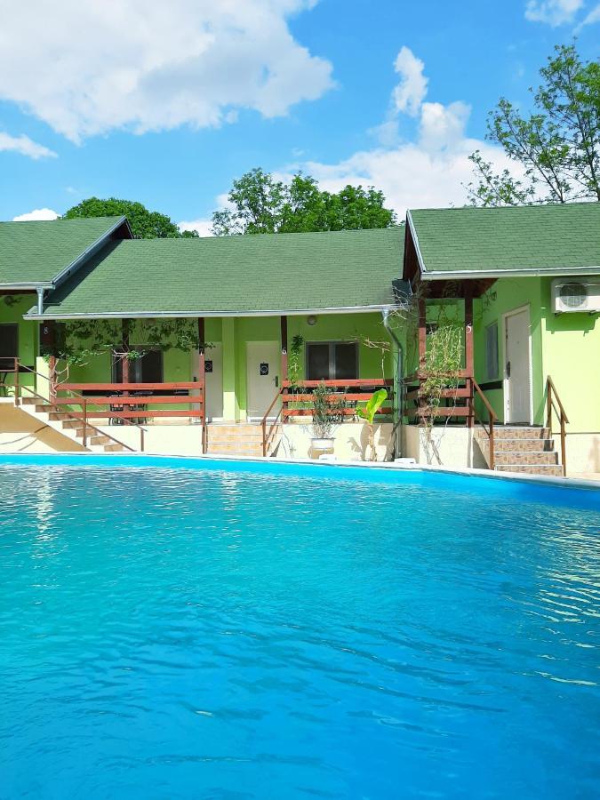 Pool And Villa Splav Dunavac Futog Экстерьер фото