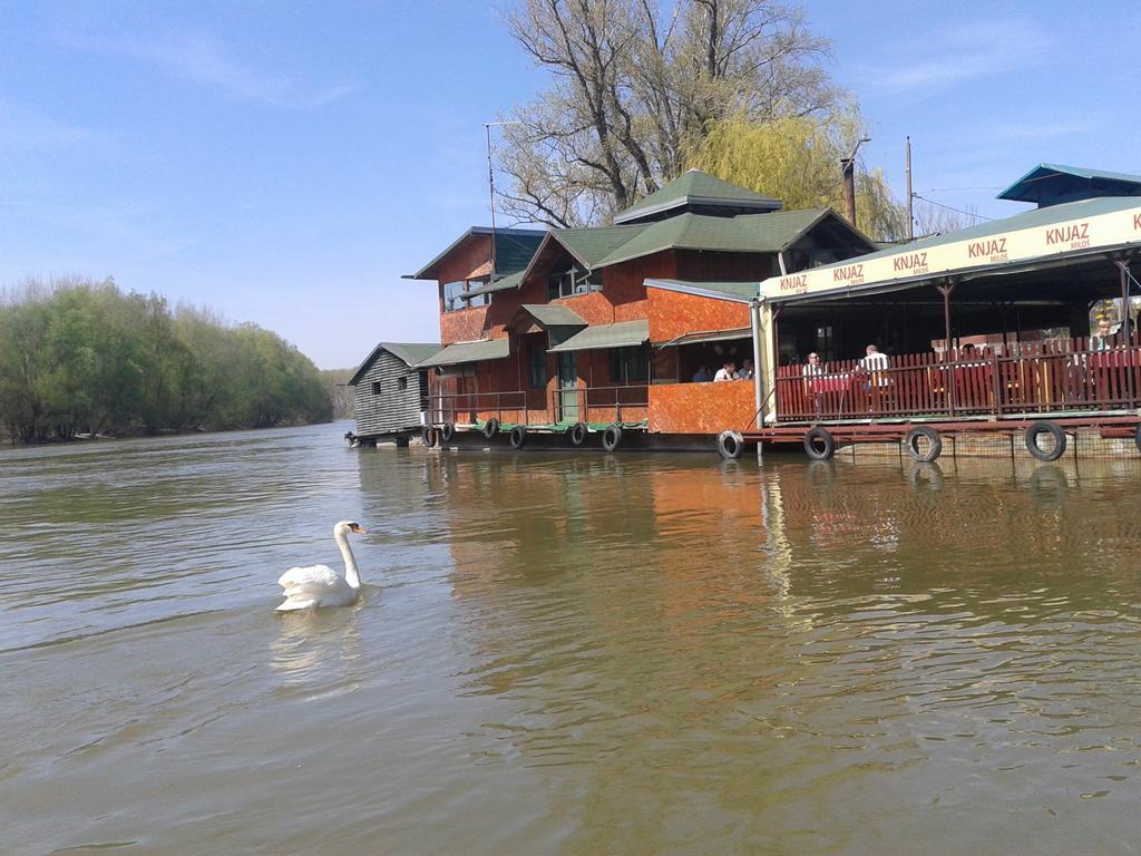 Pool And Villa Splav Dunavac Futog Экстерьер фото